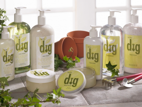 Creating perennial favourites